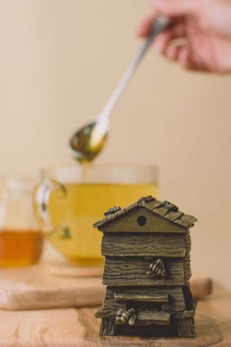 Bee Hive